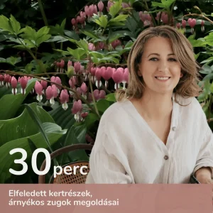 Árnyékos a kertem, mit tegyek? - online konzultáció