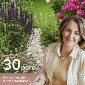 Kezdő vagyok, segíts elindulni! - online konzultáció