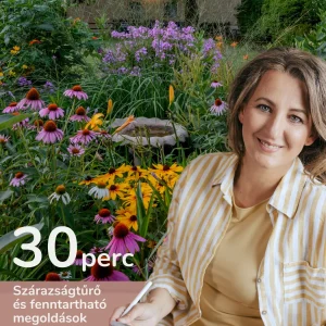 Ments meg, kiéget mindent a nap! - online konzultáció