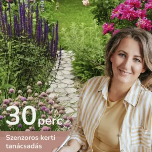 Hogyan válhat a kerted igazi oázissá/élménnyé? – Szenzoros kerti tanácsadás