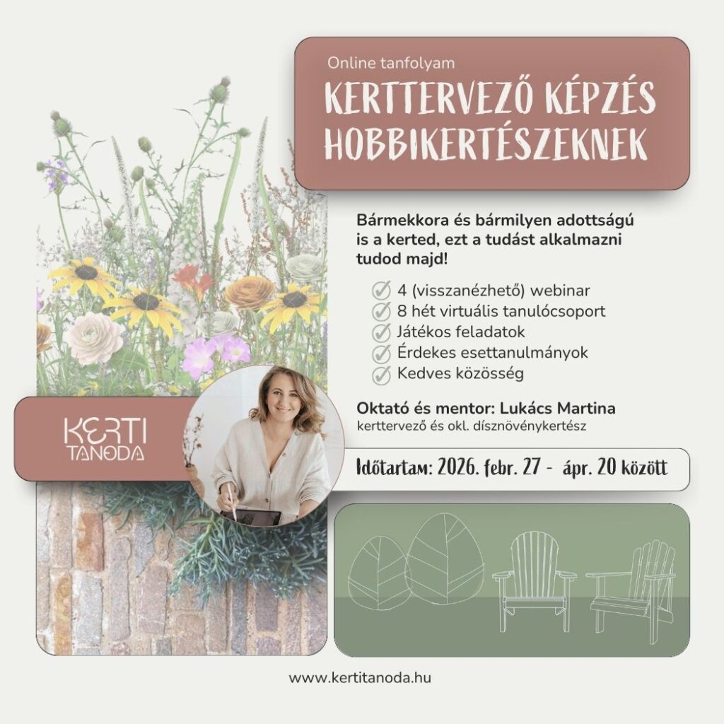 2026_képzés_v1